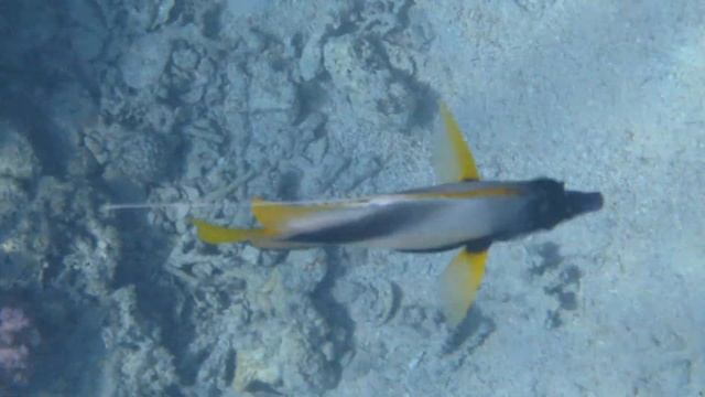 Красноморские кабубы 2019 4K - часть 1 смотреть онлайн