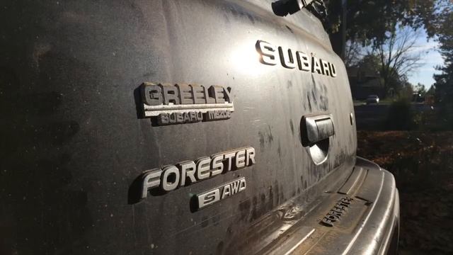 How much wood can Paul fit in his Subaru Forester SUV? смотреть онлайн