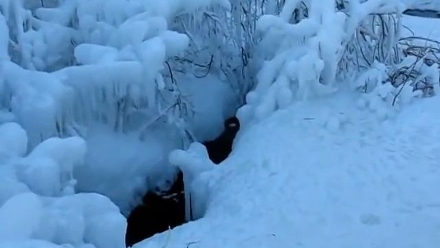 Зюраткуль. Ледяной фонтан .avi смотреть онлайн