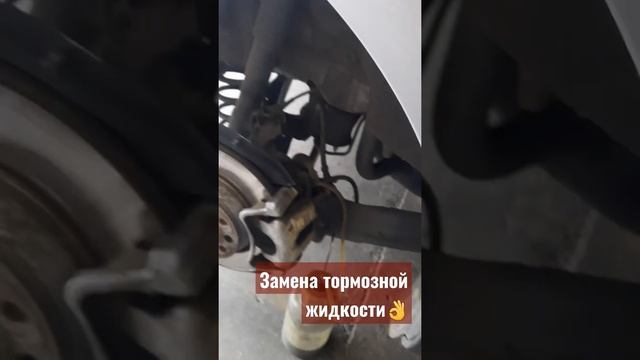 Замена тормозной жидкости vw b6 смотреть онлайн