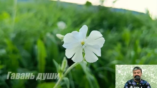 Трогательный рассказ о предательстве и самоотверженности. Месть на десерт