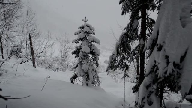 Снег идет целые сутки смотреть онлайн