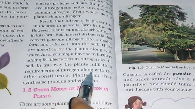 Chapter 1 - Nutrition in Plants - Reading Part 2 - Class 7 Science смотреть онлайн