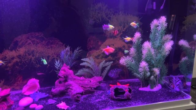 Масленица праздник!??? смотреть онлайн