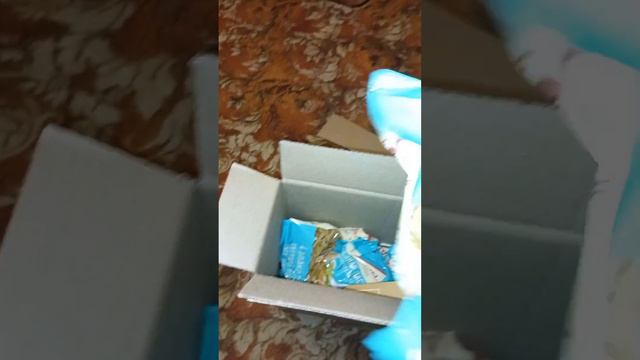 Моя радость пришла 05.02.24 смотреть онлайн