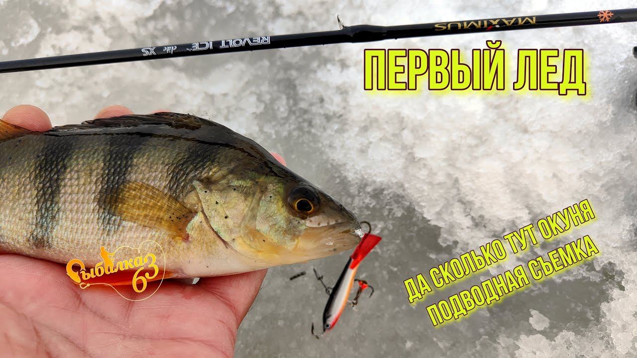 ДА СКОЛЬКО ТУТ ОКУНЯ. Подводная съемка. Первый лёд 23-2024 смотреть онлайн