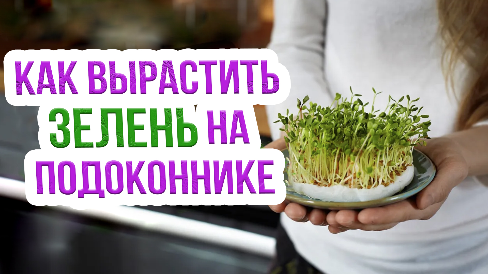 Как посадить зелень на подоконнике? Выращиваем зелень на подоконнике ПРАВИЛЬНО! смотреть онлайн