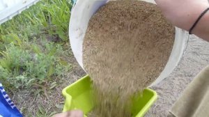 Ручная сеялка для газона