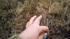 Рыбалка на резинку! Жор крупного карася!