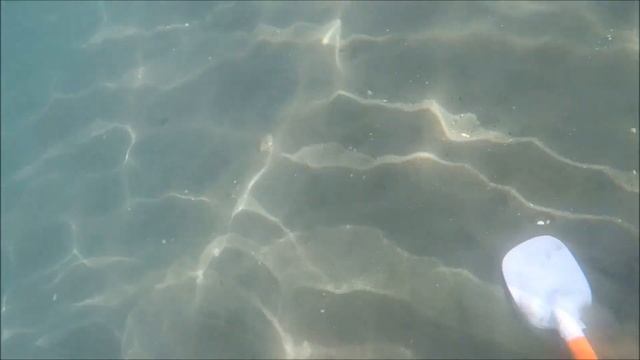 SCUBA TECTOR DETEKNIX METAL DETECTOR Metal Detecting Underwater, Limassol, Cyprus 2019 Part 1 смотреть онлайн