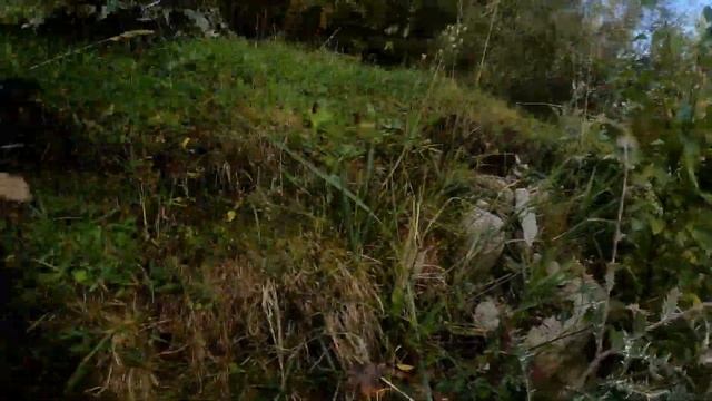 KAZAKİSTAN Sınırına Yürüdük - Çantamız NEHRE DÜŞTÜ ?? #52 смотреть онлайн