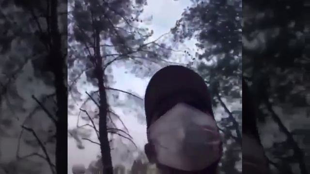 Alperen-dujmaz-napravilsya-tushit-les