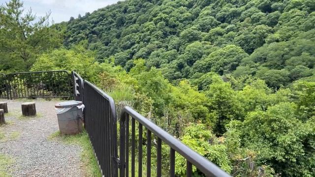 КИОТО. Храм 1000 ворот тори и бамбуковый лес. смотреть онлайн