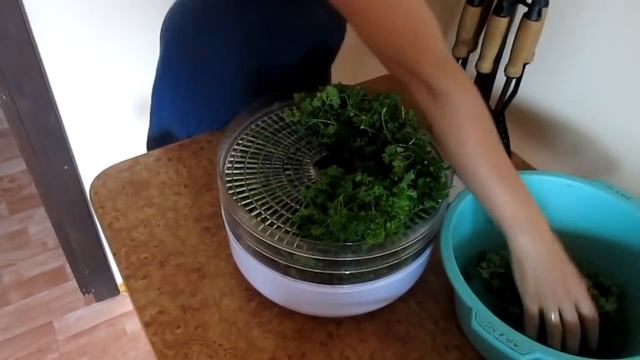 Творчество и Вдохновение