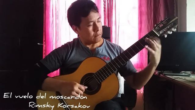 El vuelo del moscardón Rimsky Korsakov смотреть онлайн