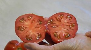 Томат Альбенга. Тест спелых плодов.