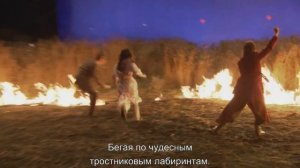 Как снимали «Гарри Поттер и Принц-полукровка»