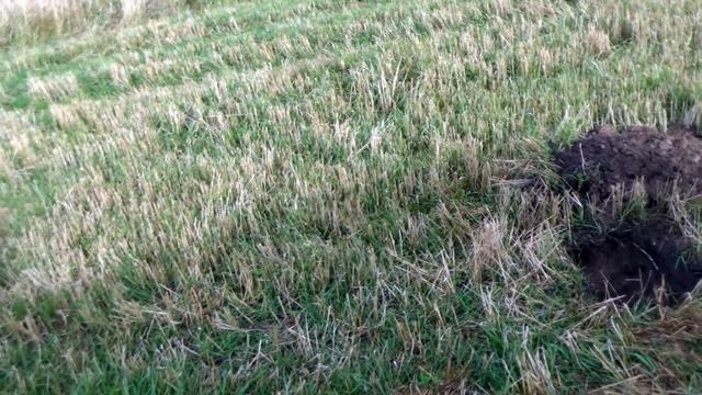 Глубинный металлоискатель Whites ТМ 808