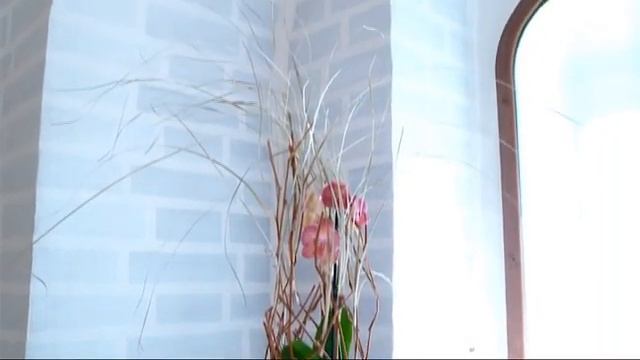 Цветочная выставка в Вологодском кремле смотреть онлайн