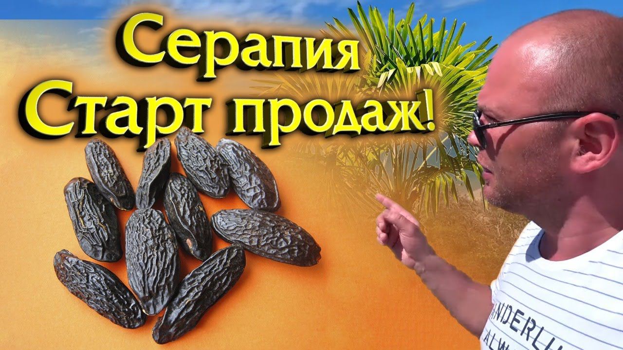 Серапия. Старт продаж и планы на сезон 2021. смотреть онлайн