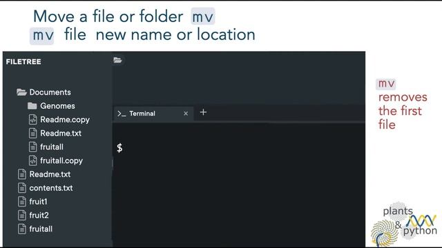 Plants & Python - Command Line Lesson 06. Copy, Change Location & Remove Files смотреть онлайн