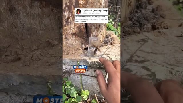 Анекдот про калоши #анекдоты #мем #анекдот #приколы #шутки #шутка #прикол #смех смотреть онлайн