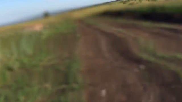 На Irbis ttr 125 за грибами Татарстан, Нижний Услон смотреть онлайн