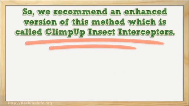 How To Kill Bedbugs With Household Items | Bed Bugs Home Remedies смотреть онлайн