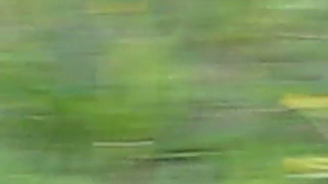 Паратрайк - супер экстрим! смотреть онлайн