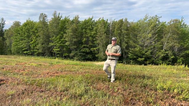Low Cost Waterfront Land | Maine Real Estate смотреть онлайн