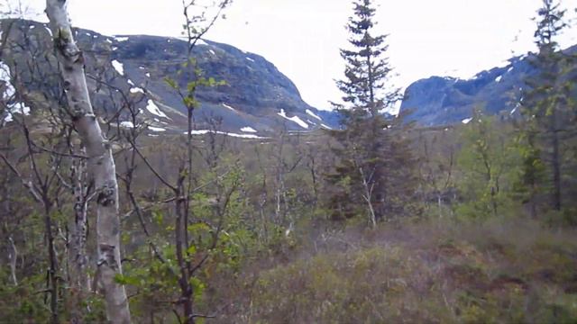 Начало пути к Сейдозеру. Ловозерские тундры. Кольский. Одиночный поход. Июнь 2018. День 1 смотреть онлайн