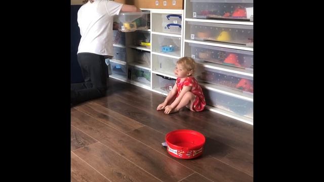 Missing snake our royal python was not in her tub смотреть онлайн