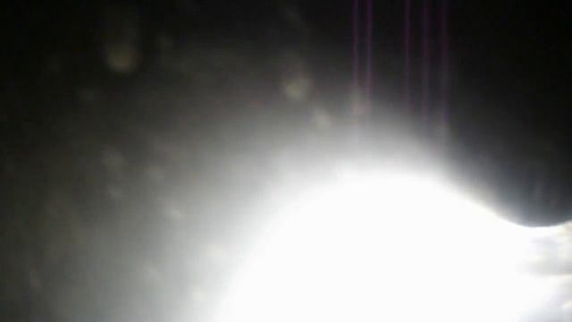 ВЫРАЩИВАНИЕ ДАФНИЙ НА БАНАНОВОЙ КОЖУРЕ ИЛИ НА ОПАВШЕЙ ЛИСТВЕ vselennaya uvlesheniy смотреть онлайн