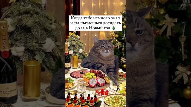 1 января 2024 г. смотреть онлайн