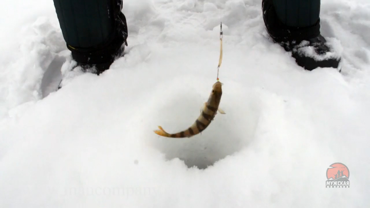 МК : Ловля окуня на блесны зимой смотреть онлайн