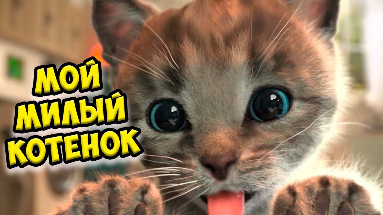 Мой милый котенок Игра про котика Приключение смотреть онлайн
