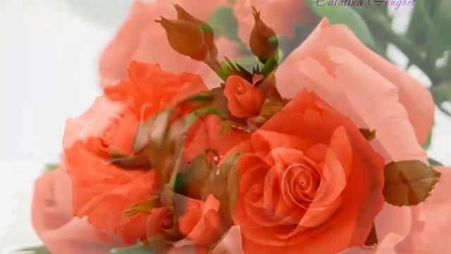 Sugar Flowers By Catalina Anghel Azúcar´arte