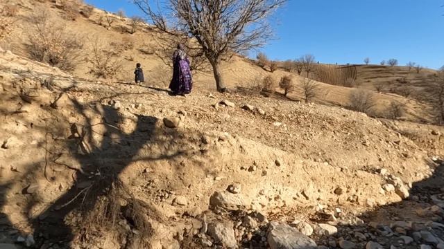 Nomadic And Rural Lifestyle In Iran: A Risky Journey To The Heart Of The Mountain For Firewood#noma