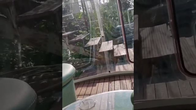 Обзор прозрачного купольного дома смотреть онлайн