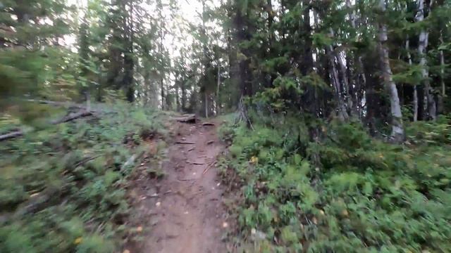 Avantis Enduro 250 лучший мотоцикл для новичка в эндуро?