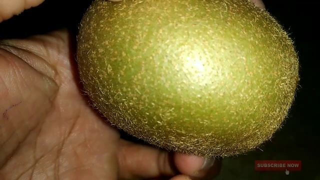కివి ఫ్రూట్స్ ఉపయోగాలు /Health Benefits Of Kiwi Fruit In Telugu смотреть онлайн