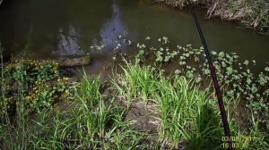 ловля хариуса на малых реках пермского края