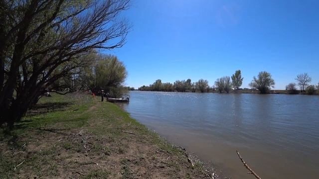 Астрахань ОХОТА НА ВОБЛУ 2023 #Korsaka_Fish смотреть онлайн