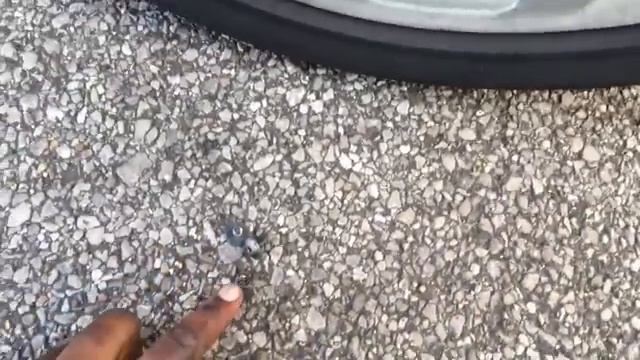 Remove/Install Bumper on Audi A3 Sportback 8P check description for front bumper removal! смотреть онлайн