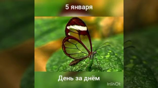 5 января. День за днëм смотреть онлайн