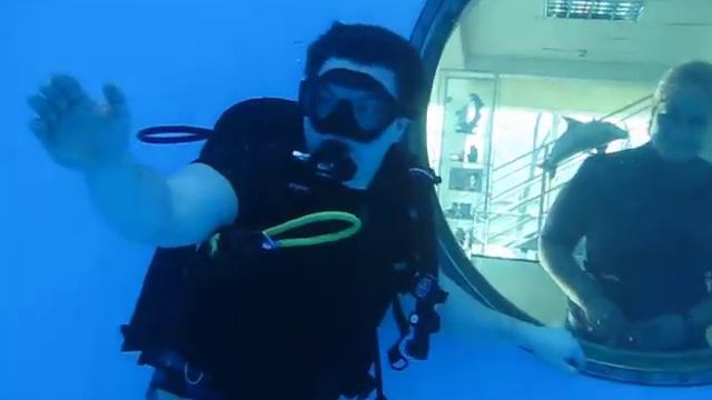 Дайвинг с дельфинами. Встреча с женой смотреть онлайн