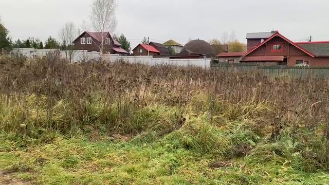 Видео 1594 смотреть онлайн