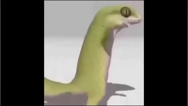 драконы откуда мем от не буди смотреть онлайн