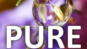 Pure