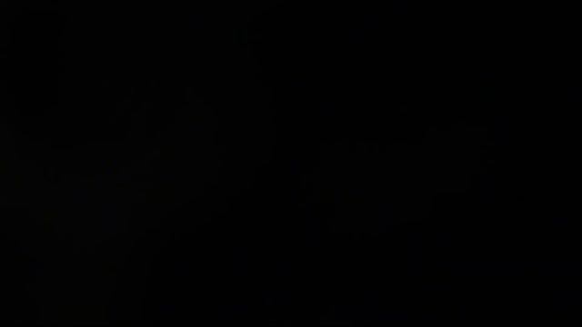 The Singing Nun (Dominique) 1963 AHS Song